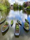 Bruges, Belgium. Canoes being used as planters on a canal in Bruges. Art Print